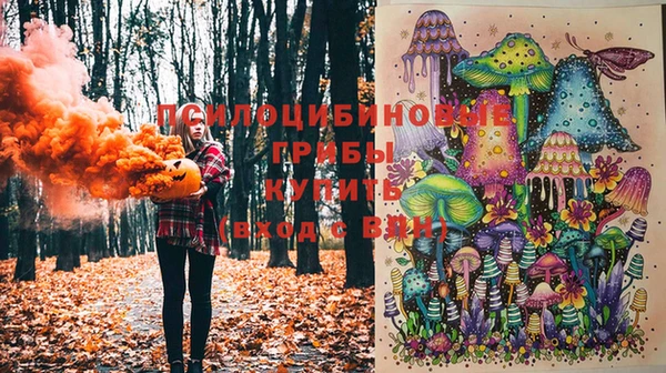тгк Балахна