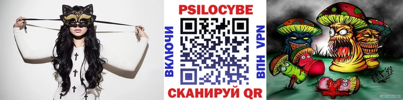 kraken ССЫЛКА  Красный Холм  Псилоцибиновые грибы Magic Shrooms  где купить наркотик 
